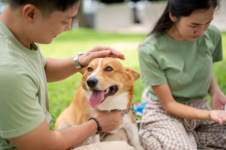 Dad patting and playing with corgi puppy while mom sitting on picnic mat laying over grass in the...