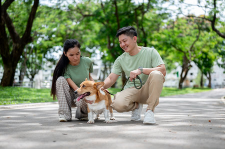 Smiling young adult asian man holding a leash of corgi puppy while crouching down with woman on...
