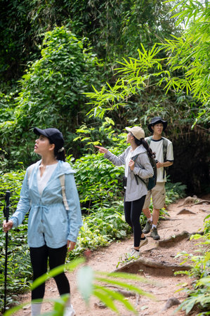 Woman tourist holding cane walking in front of man and friend looking ahead during forest hiking or...