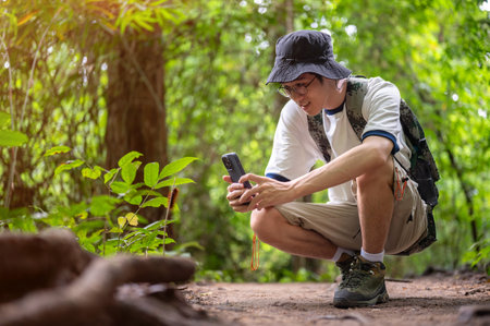Asian man tourist crouching taking picture of a plant or animal on phone during forest hiking or...