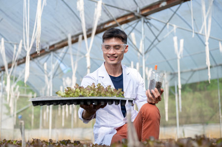 Asian agricultural scientist holding a beaker looking at vegetable planting tray in greenhouse farm....