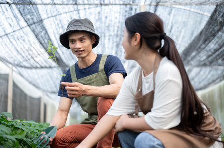 Asian farmer man talking teaching young woman growing vegetables plant in greenhouse of organic farm. Harvesting, Field Work, Agriculture life.の写真素材