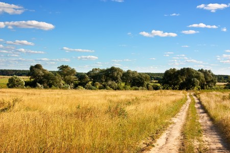 Country road through meadow under cloud in summer