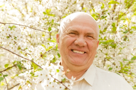 Portrait of gray-haired middle-aged man in the gardenの写真素材