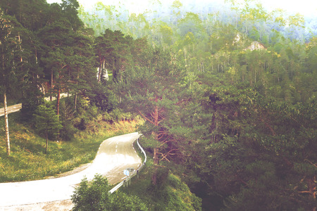 Mountainous terrain with forest and road. の写真素材