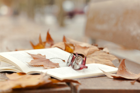 Autumn still life on   bench with maple leaves and open book.の写真素材