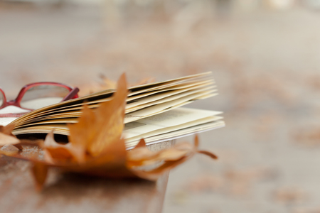 Autumn still life on   bench with maple leaves and open book.の写真素材