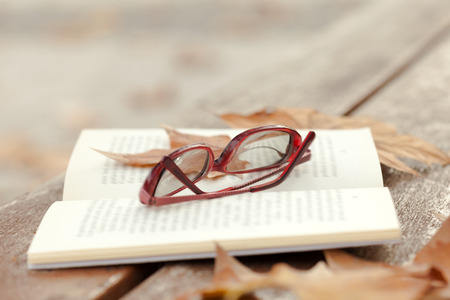 Autumn still life on   bench with maple leaves and open book.の写真素材