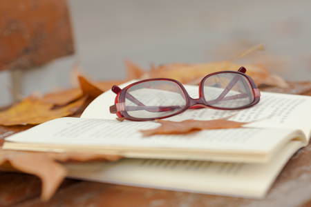 Autumn still life on   bench with maple leaves and open book.の写真素材