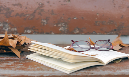 Book and red glasses on   bench in autumn park.の写真素材
