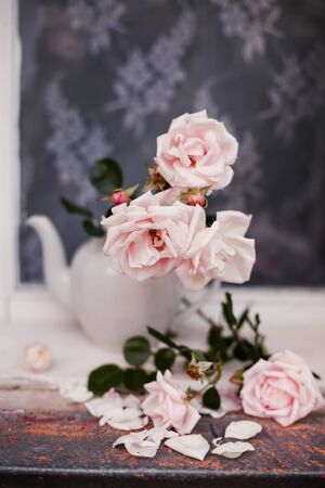 Beautiful still life of roses in   vase from   teapot on  windowsill.の写真素材