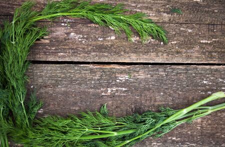 Fresh greens of dill  on   wooden grey background. の写真素材