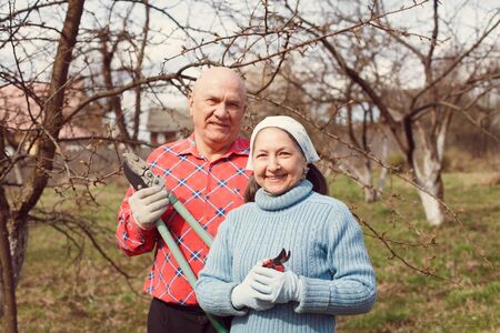 elderly couple in village with   pruners.