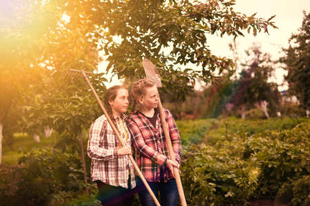 Two sisters on background of summer garden with tools for working in gardenの写真素材