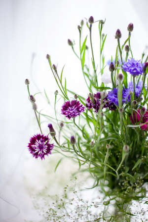 Bouquet of delicate wildflowers of cornflowers on white backgroundの写真素材