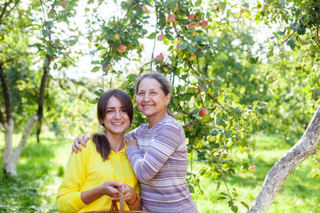 Two 20- and 50-year-old women in apple orchard, mother and daughterの写真素材