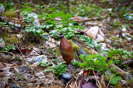 Garbage pile in forest among plants. Toxic plastic into nature everywhere. Rubbish heap in park...