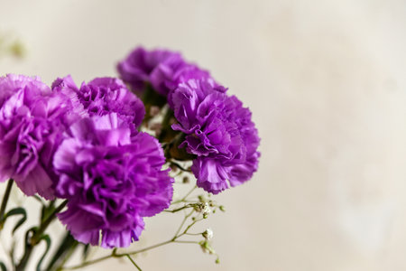 Bouquet of chrysanthemums and carnations on light backgroundの写真素材