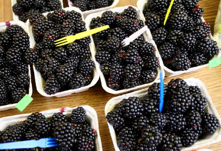 blackberryの写真素材