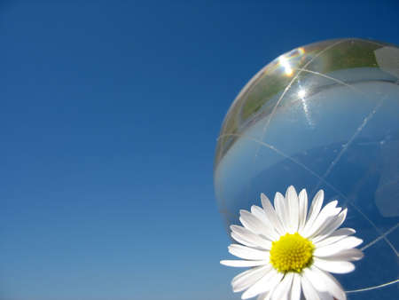globe and daisy on a blue skyの写真素材