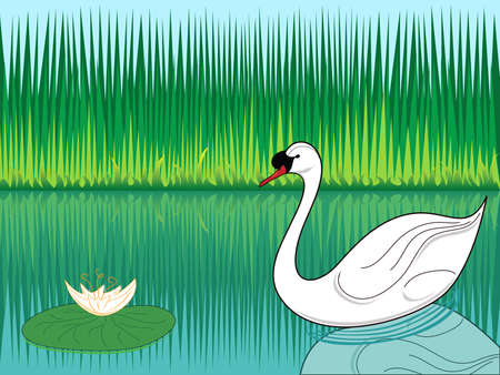 white swan swimming in a lakeのイラスト素材