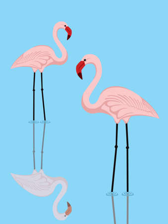 illustration of a couple of pink flamingos in a lakeのイラスト素材