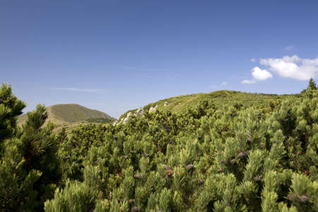 Mountain landscape with deep blue sky. Location: Bulgaria, Balkan Mountains Range, peak Komの写真素材