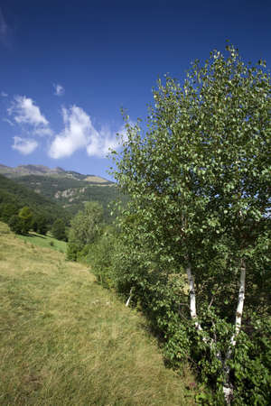 Mountain landscape with deep blue sky. Location: Bulgaria, Balkan Mountains Rangeの写真素材