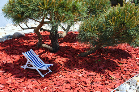 A decoration striped beach chair for sunbathing and relaxing is standing in the shade under a asian tree on a sunny day, sawdust and tree bark are lying on the groundの写真素材