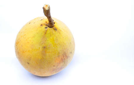 Santol on white backgroundの写真素材
