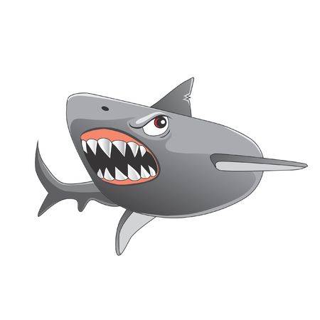 angry sharkのイラスト素材