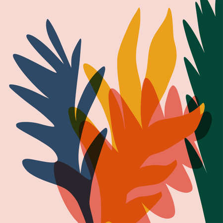 Modern exotic jungle fruits and plants illustration in vector.のイラスト素材