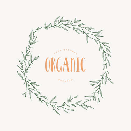 Hand drawn vector plant illustration. Botanical element. Elegante vintage style. Wild flowers and herbs sketch.のイラスト素材