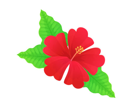 Vibrant red hibiscus flower. Hawaii tropical bloom. Stock vector illustration isolated on white in flat cartoon style.のイラスト素材
