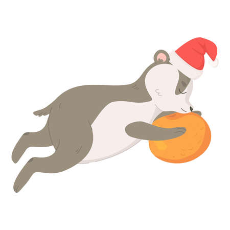 Cute badger with tangerine in Christmas hat.のイラスト素材