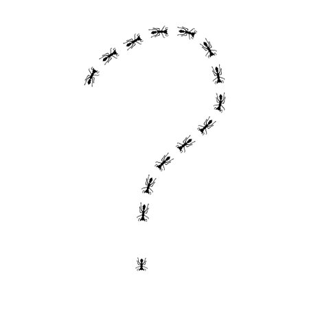 Ant silhouettes trail illustration in shape of question mark. disinfection concept.のイラスト素材