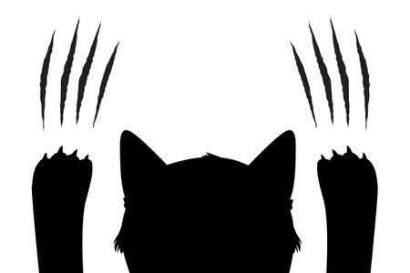 Cat silhouette scratch the background. Black isolated on white.のイラスト素材