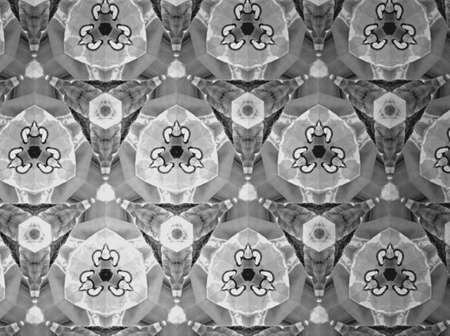 Textile cloth black and whiteの素材