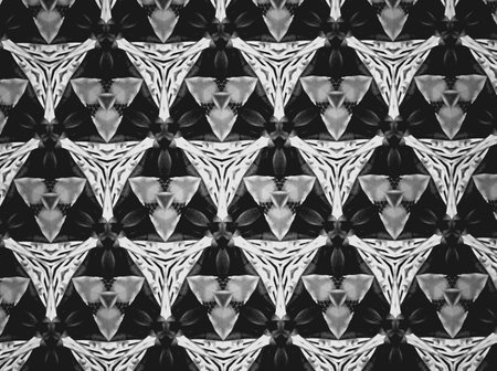 Textile cloth black and whiteの素材