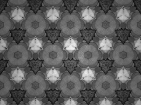 Pattern background black and white