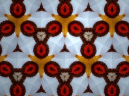 Pattern cloth colorful