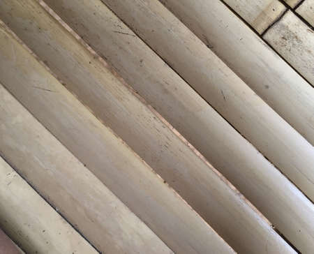 Bamboo backgroundの素材