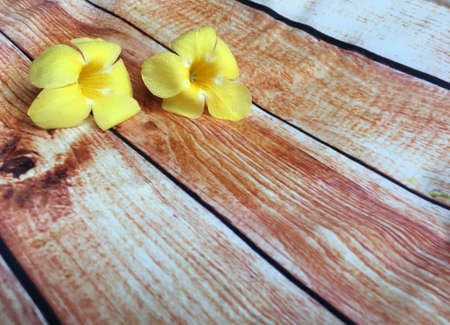 Wooden background