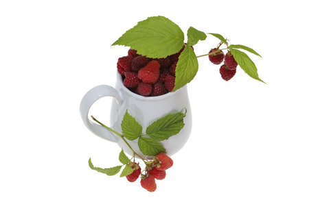 jug full of raspberries with leaf isolated on white background