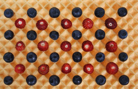 forest fruits on wafer as backgroundの写真素材