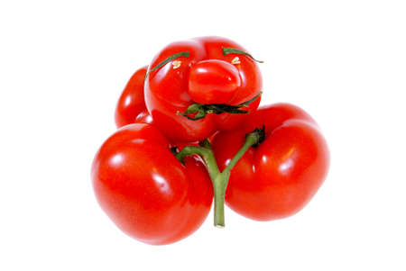 four red tomatoes on twig isolated on white backgroundの写真素材