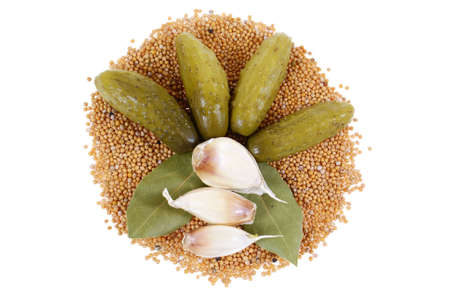 cucumbers lies on white mustard grain with shadows on white backgroundの写真素材