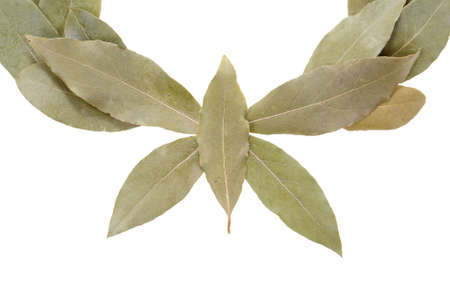arranged laurel wreath isolated on white backgroundの写真素材