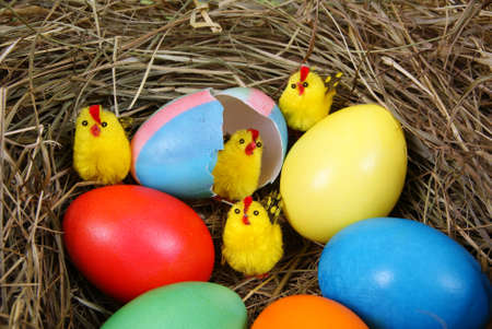 colourful eggs in nest made of hay as background