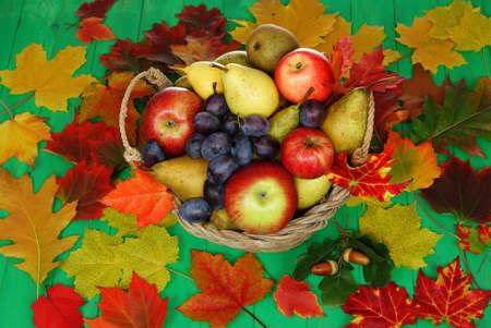 full basket of fruit the decorated  leafの写真素材